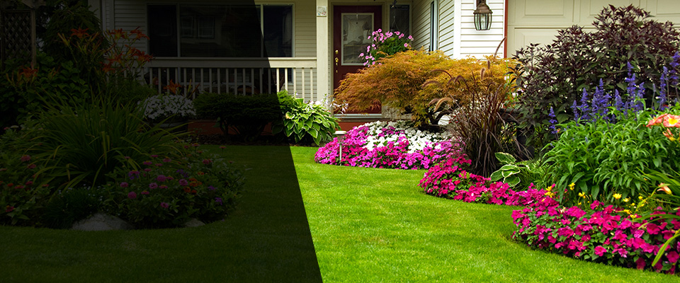 Koloa Landscapers