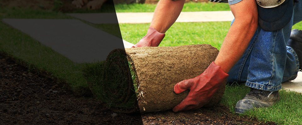 Koloa Landscapers